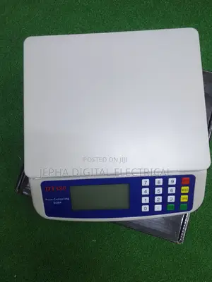 Computing Scale