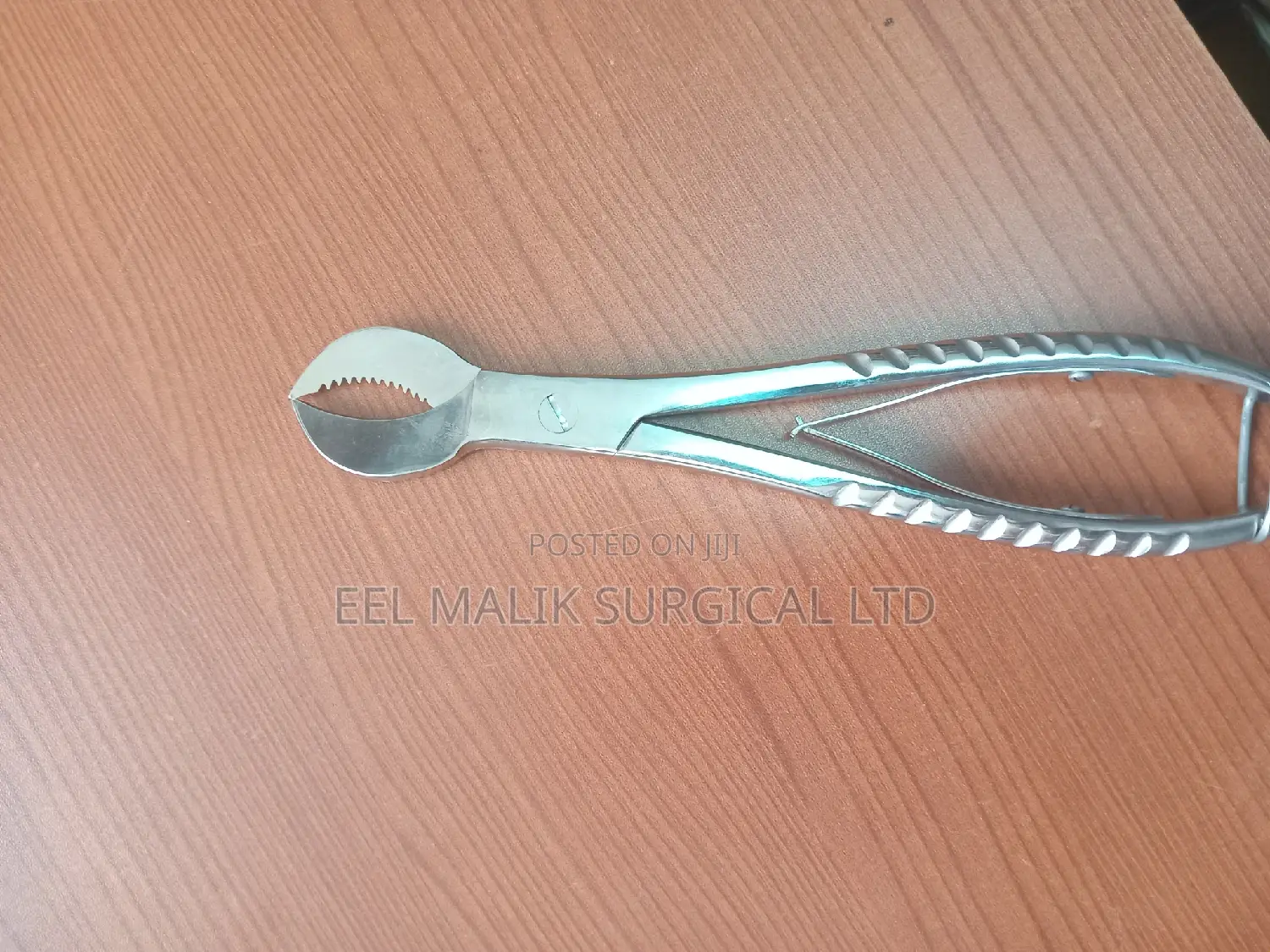 Dental Forcep Stainless Steel