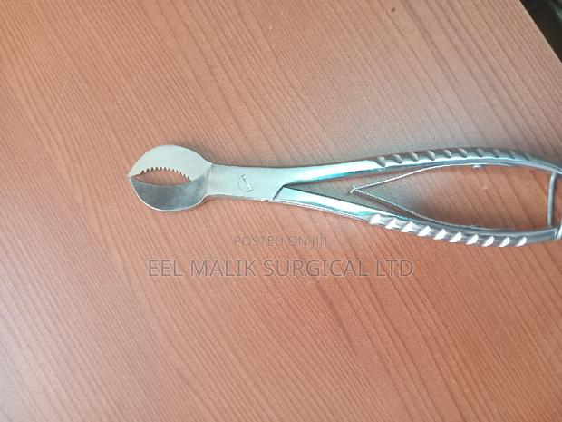 Dental Forcep Stainless Steel - main view