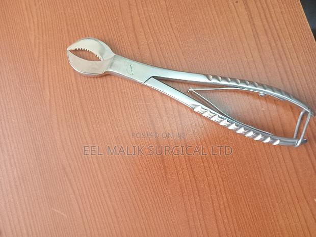 Dental Forcep Stainless Steel - thumbnail 2