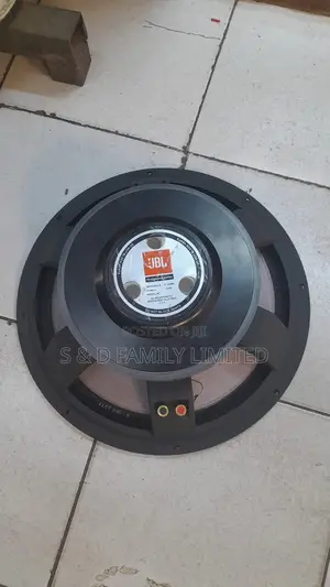 JBL 2226H Speaker Naked Speaker
