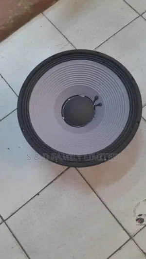 JBL 2226H Speaker Naked Speaker