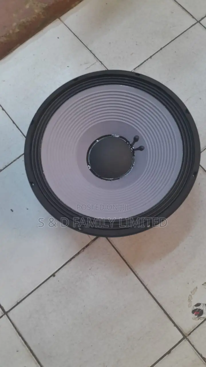 JBL 2226H Speaker Naked Speaker