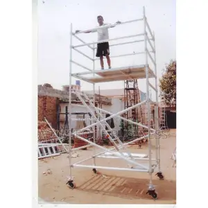 Stainless Construction Scaffolding Ladder