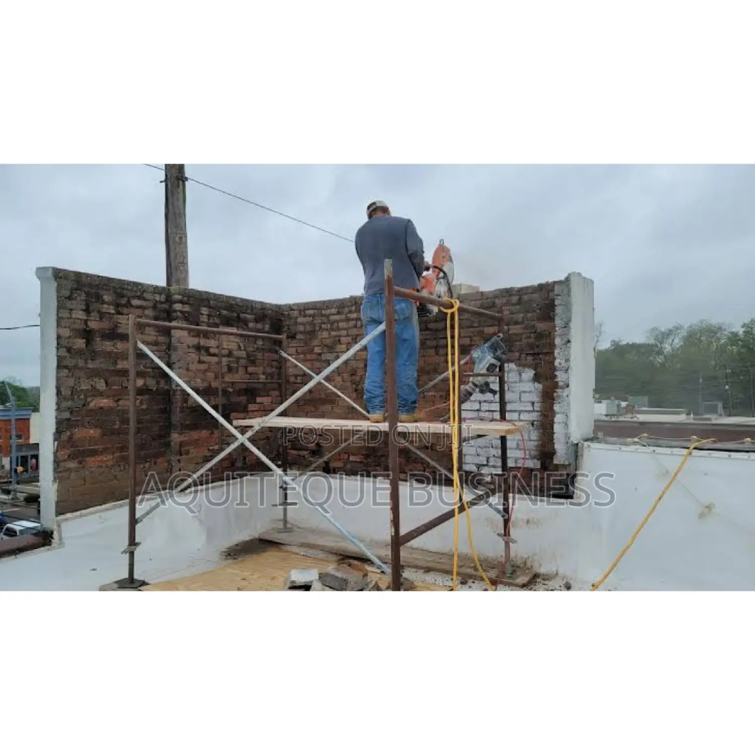Stainless Construction Scaffolding Ladder