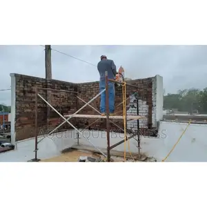 Stainless Construction Scaffolding Ladder