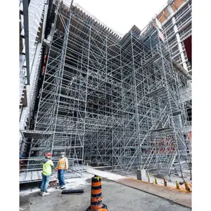 Scaffolding Construction Ladder. 2m Hight