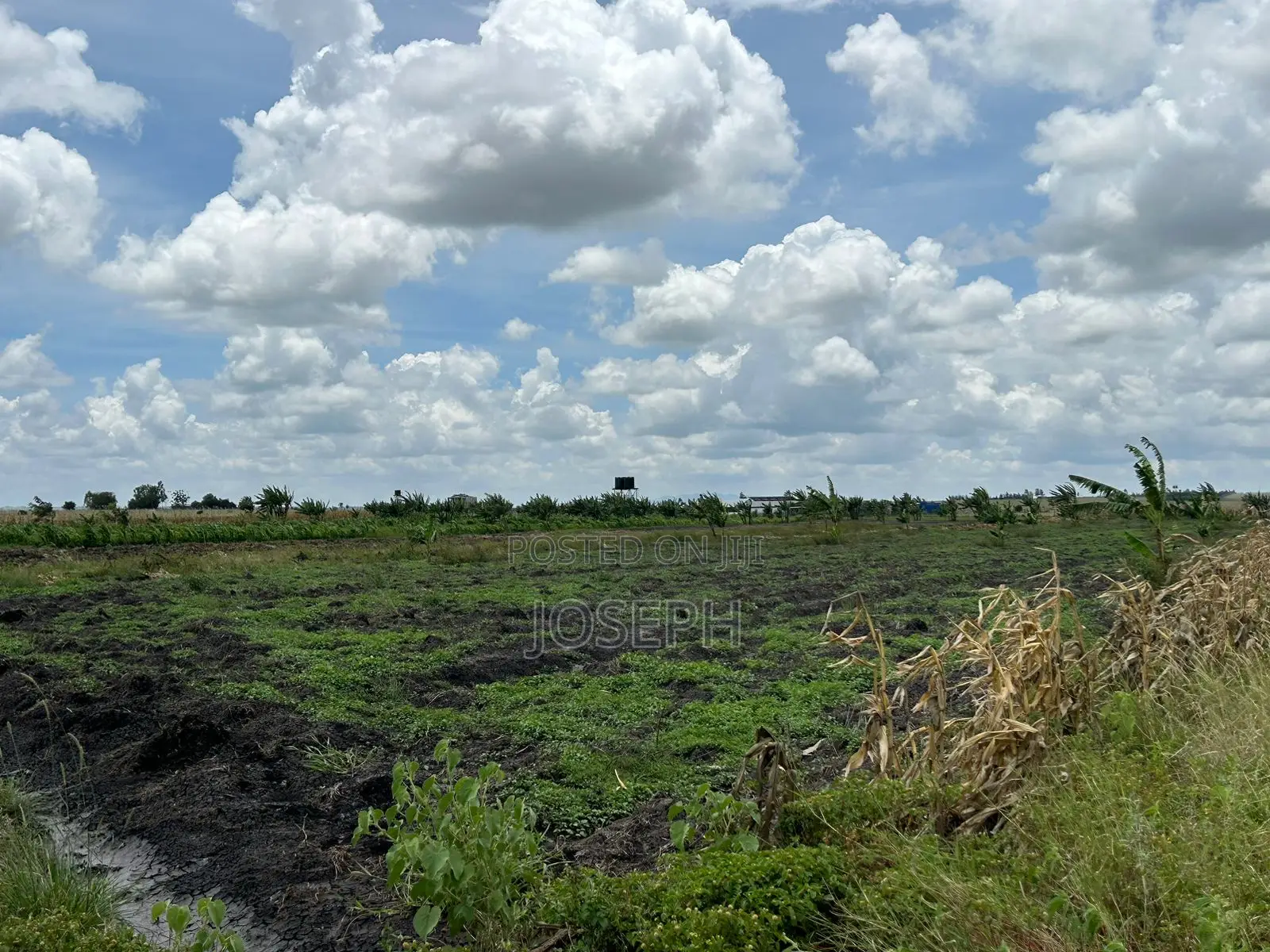 Kisaju 10acres Farm With Borehole