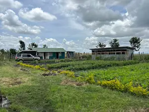 Kisaju 10acres Farm With Borehole