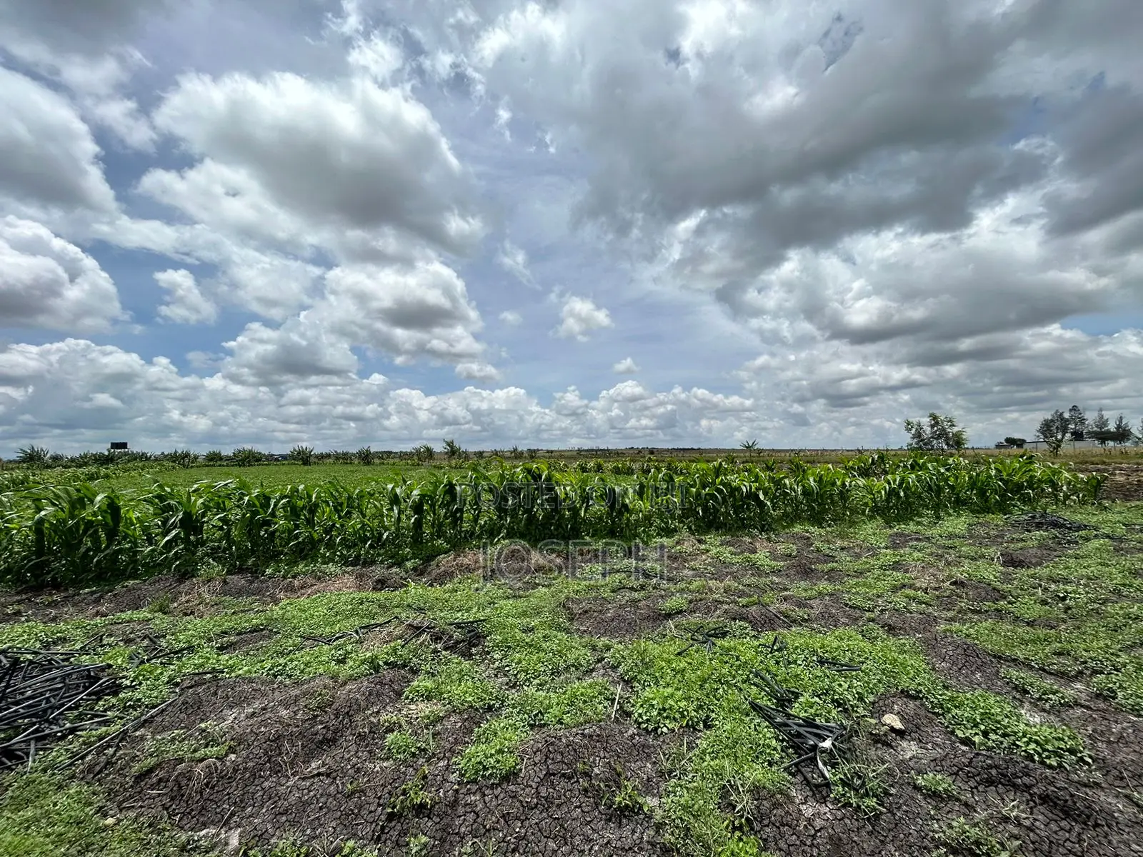 Kisaju 10acres Farm With Borehole