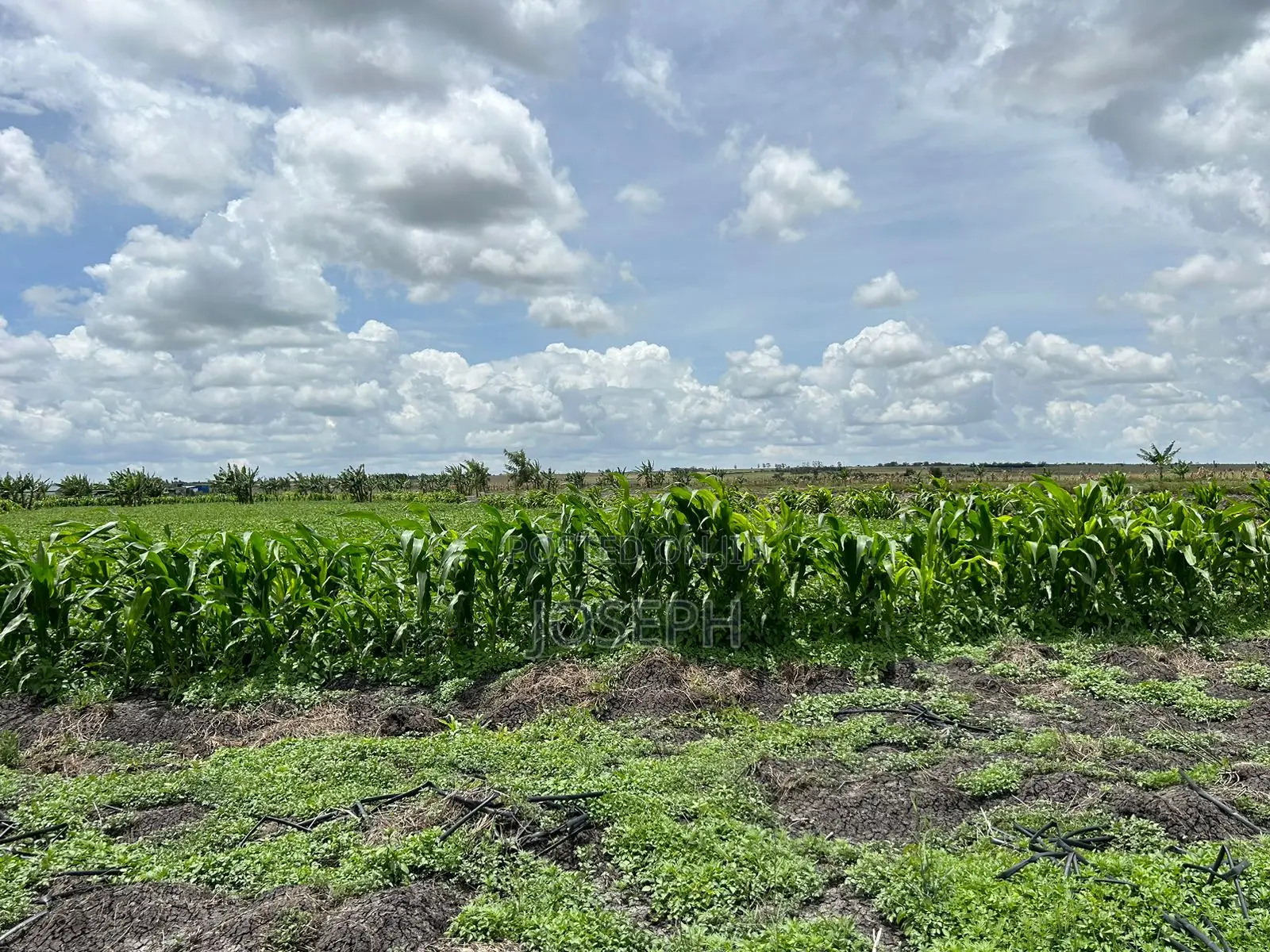 Kisaju 10acres Farm With Borehole