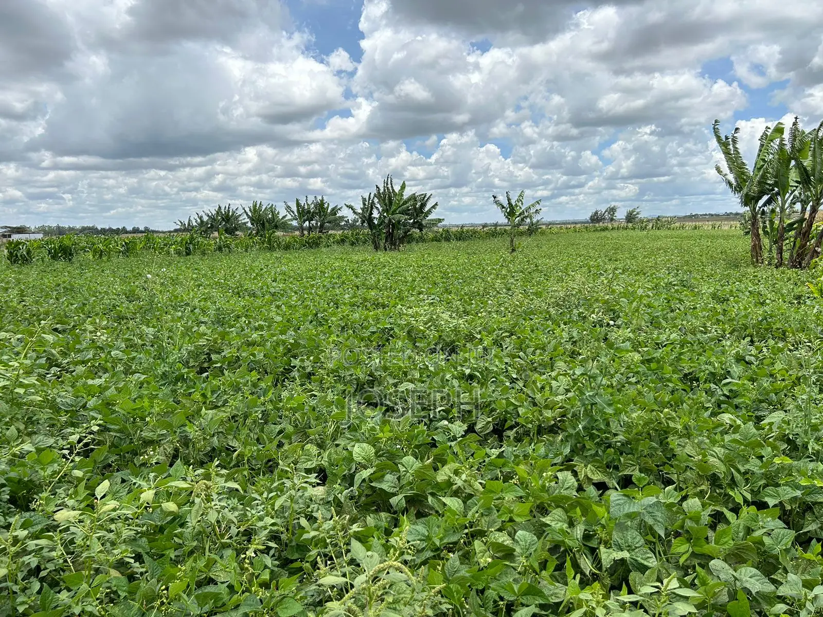 Kisaju 10acres Farm With Borehole
