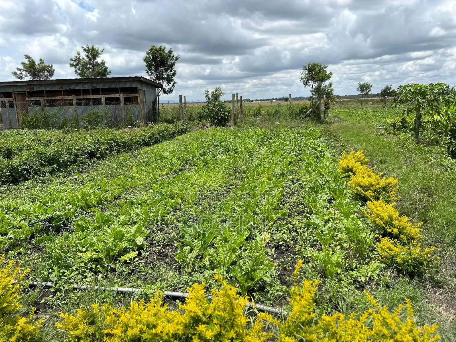 Kisaju 10acres Farm With Borehole