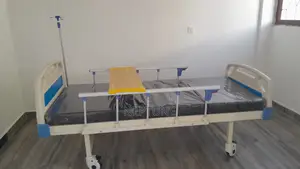 Home Care Patient Bed With Mattress