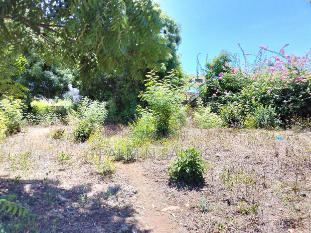 Diani One Acre Prime Beach Plot - thumbnail 3