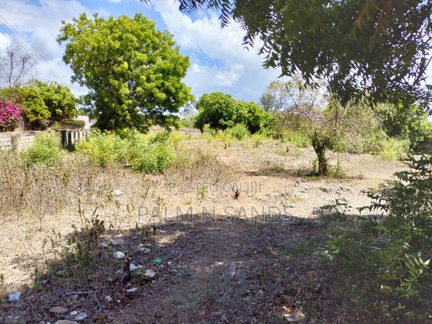 Diani One Acre Prime Beach Plot - thumbnail 5
