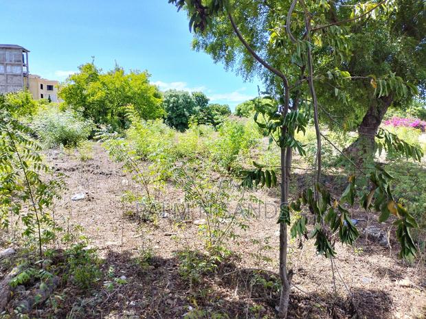 Diani One Acre Prime Beach Plot - thumbnail 6