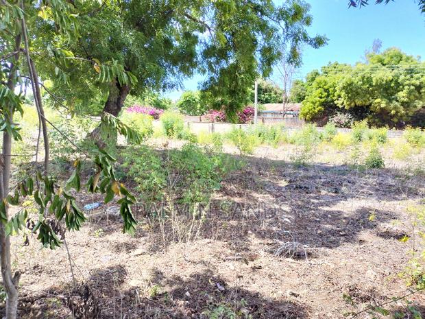 Diani One Acre Prime Beach Plot - thumbnail 7