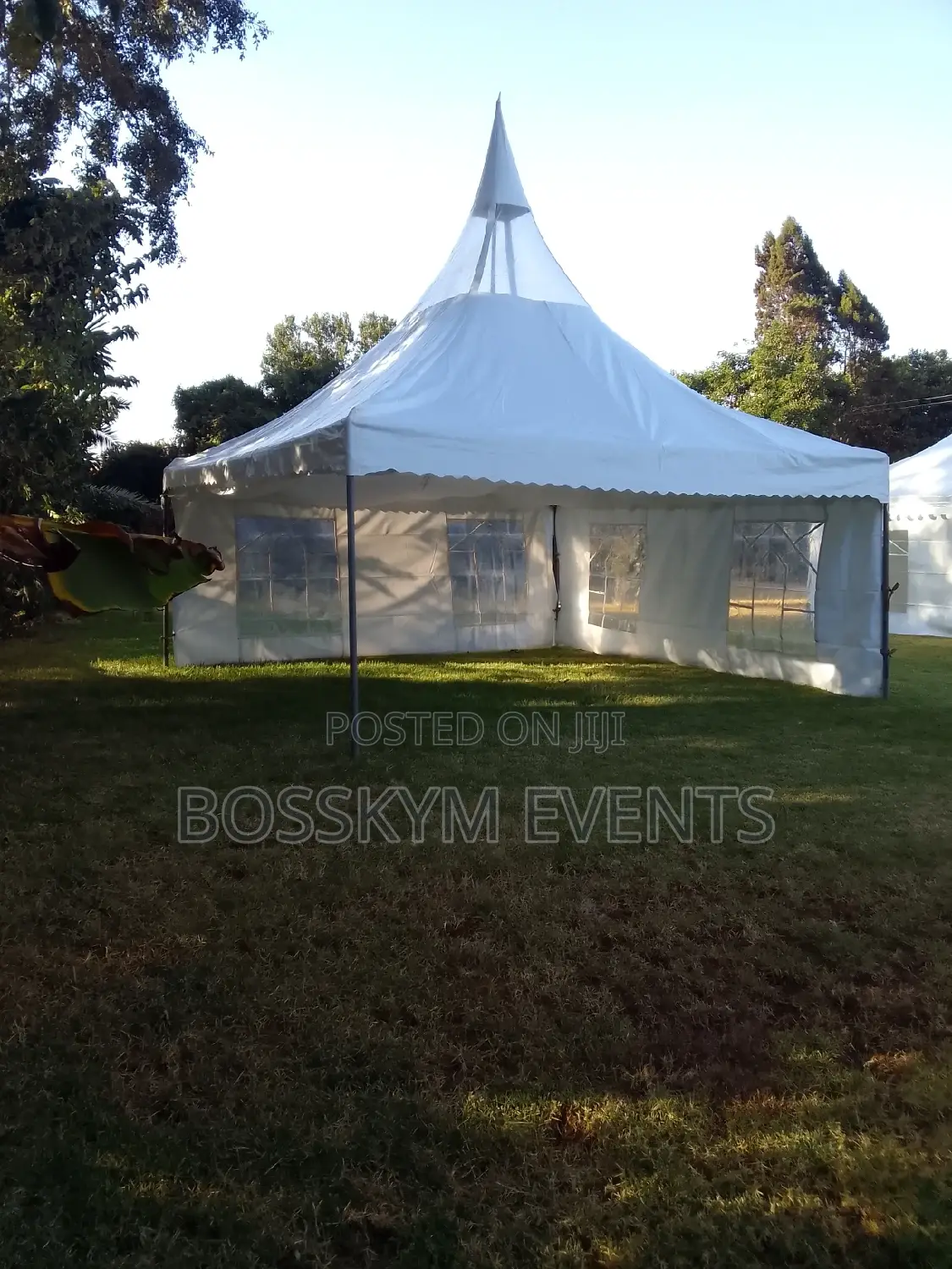 Fifty Sitter Tent for Hire