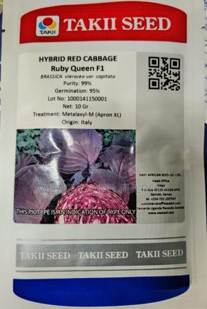 Cabbage Ruby Queen F1 Hybrid Seeds - main view