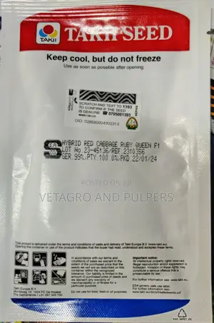 Cabbage Ruby Queen F1 Hybrid Seeds