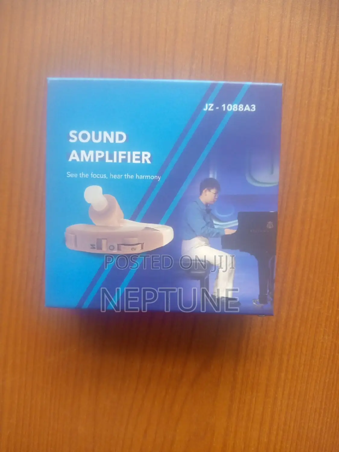 Hearing Aid/Amplifier