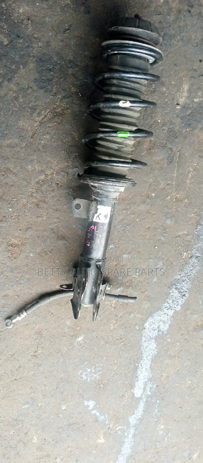 Suzuki Alto Complete Front Shocks