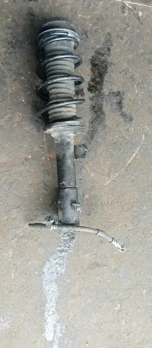 Suzuki Alto Complete Front Shocks