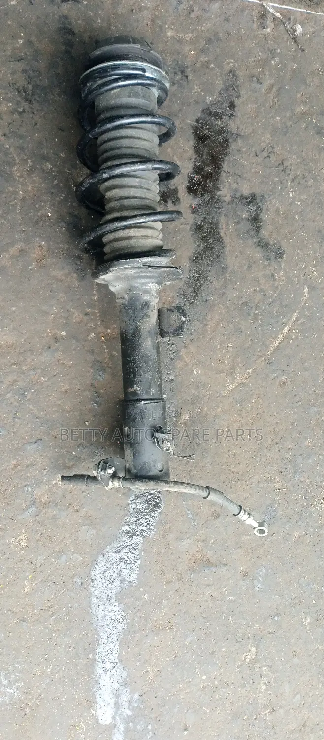 Suzuki Alto Complete Front Shocks