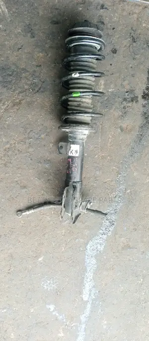 Suzuki Alto Complete Front Shocks