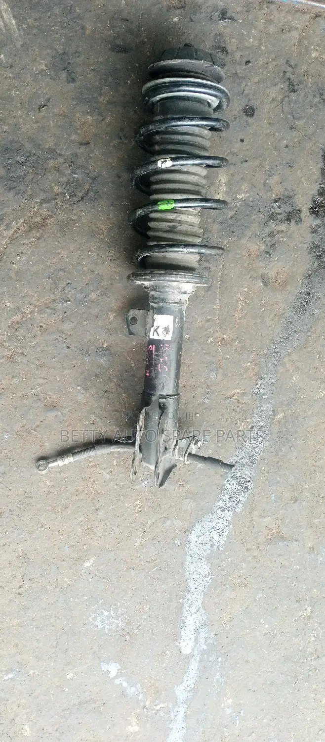 Suzuki Alto Complete Front Shocks