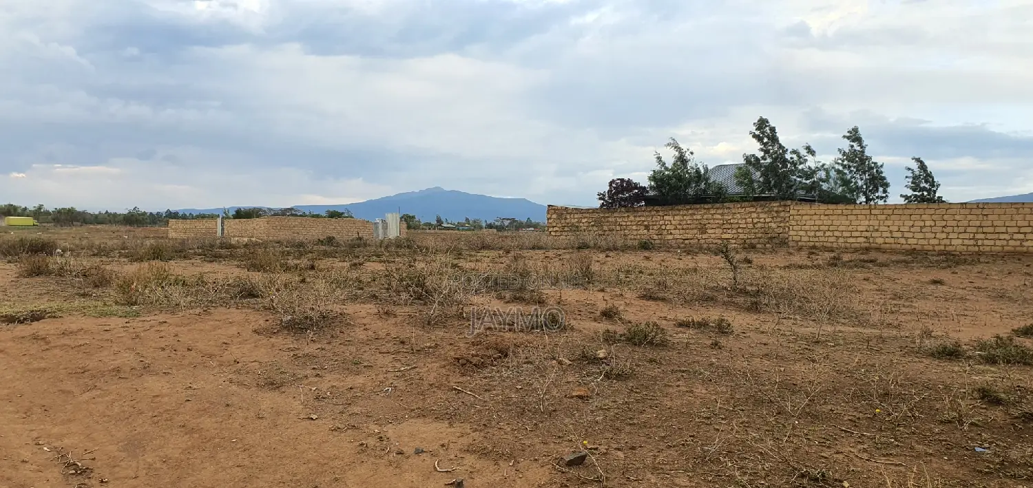Maii Mahiu Mafta Taa Plots 50by100