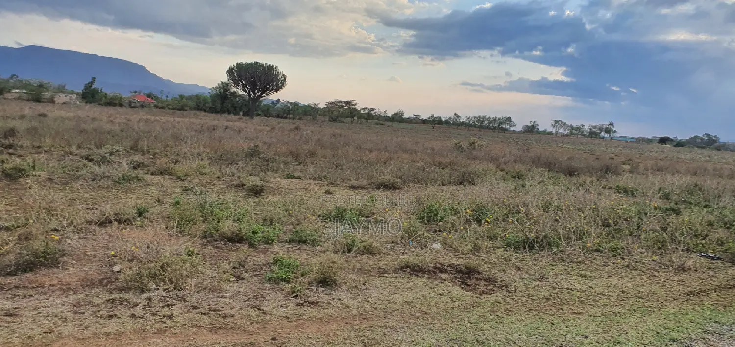 Maii Mahiu Mafta Taa Plots 50by100