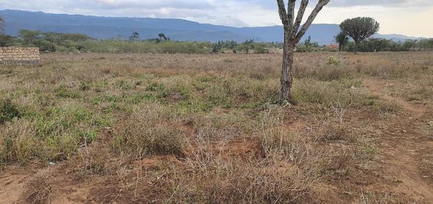 Maii Mahiu Mafta Taa Plots 50by100 - thumbnail 8