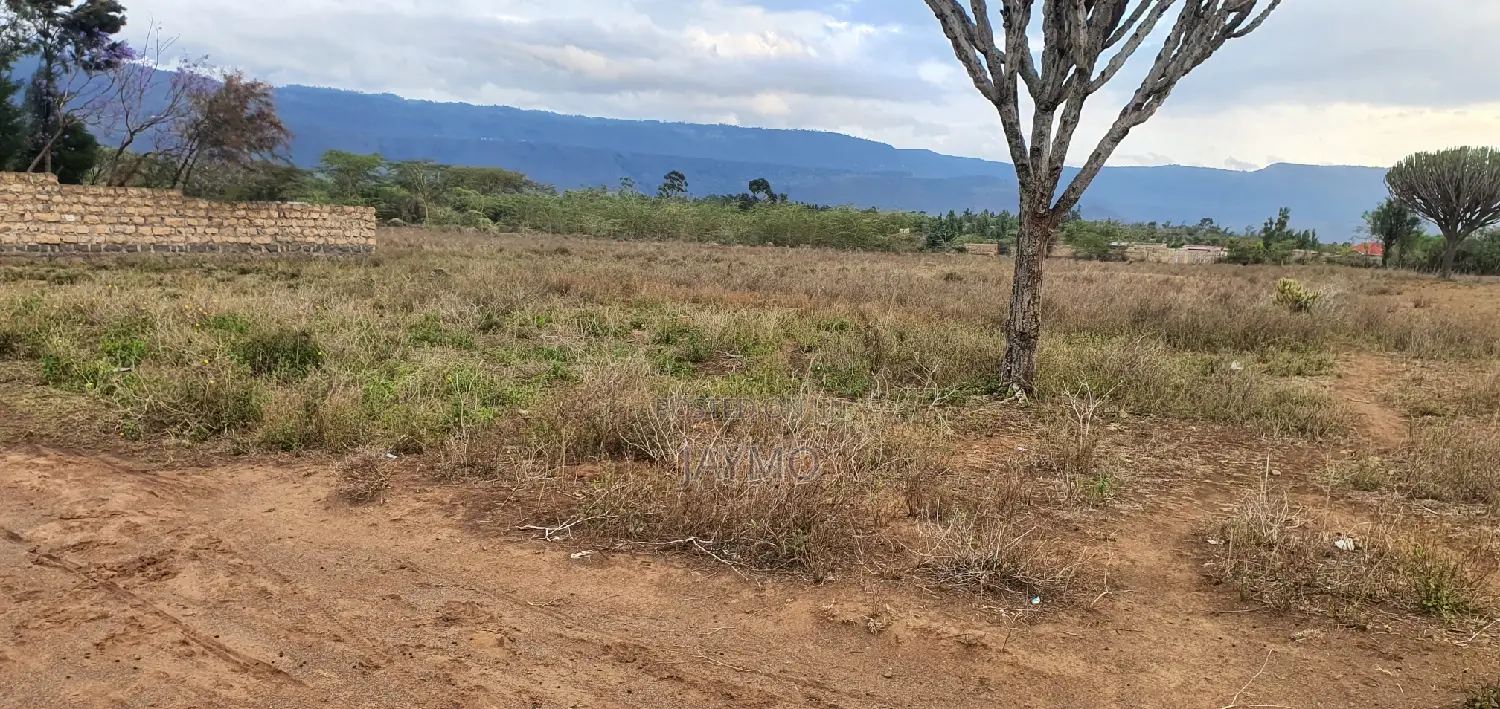 Maii Mahiu Mafta Taa Plots 50by100