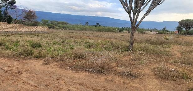 Maii Mahiu Mafta Taa Plots 50by100 - thumbnail 9