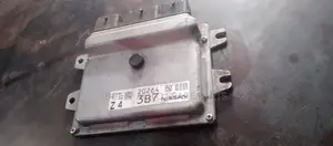 Nissan Juke Computer