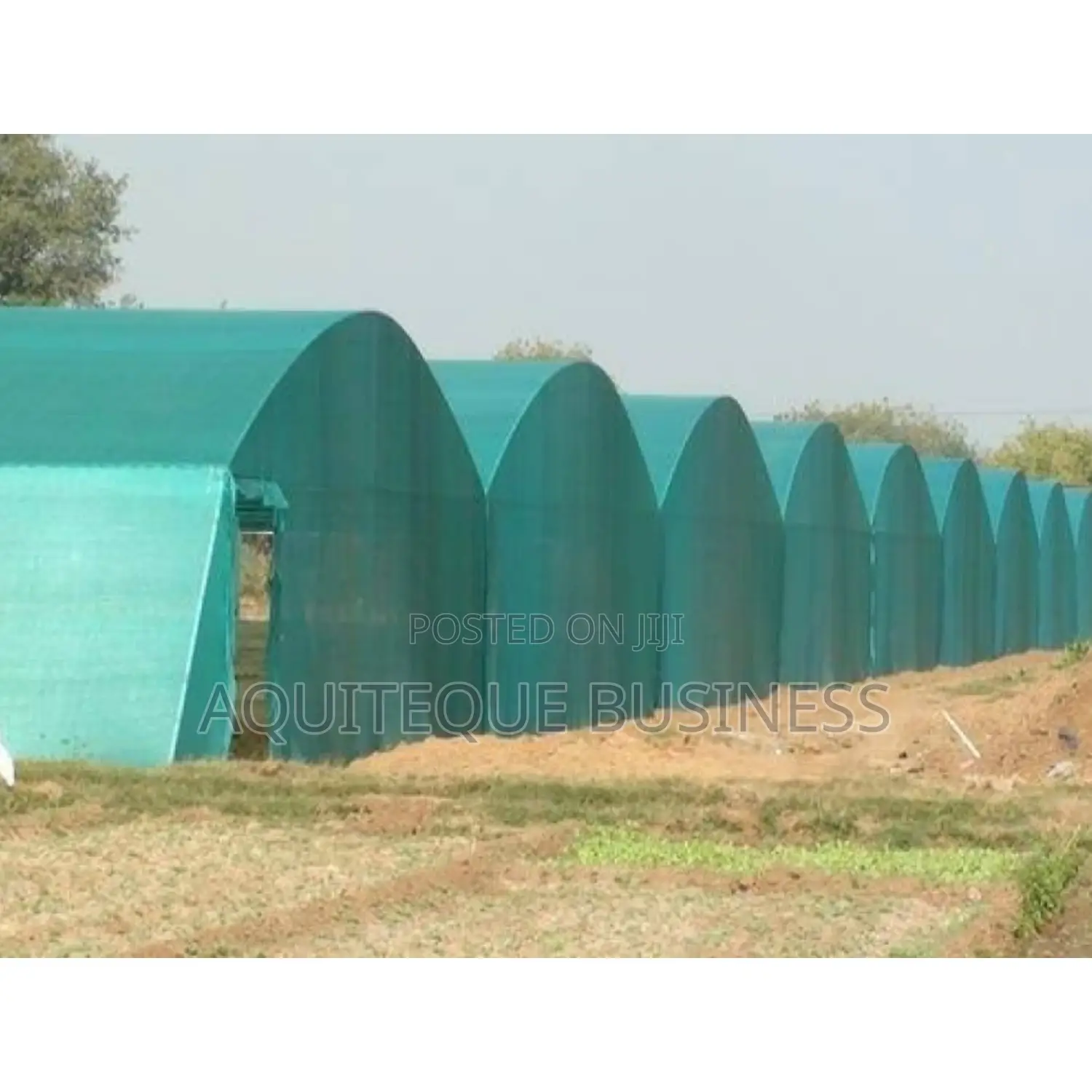 Agricultural Scaffolding Nets