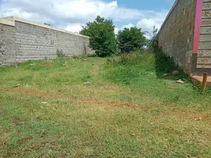 40 × 80 Plot for Sale at Kwa-Vee, Sagana