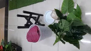 Plant,Wooden Stand,Vase With Pebble Stones