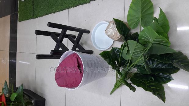 Plant,Wooden Stand,Vase With Pebble Stones