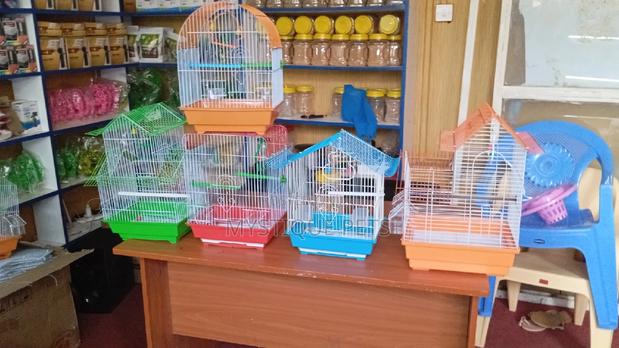 Small Bird Cage - main view