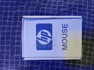 Brown Box Mouse
