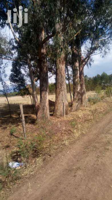 Selling 16 Acres in Nyahururu Ndemi - thumbnail 2