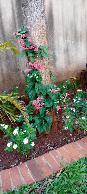 Landscaping Works