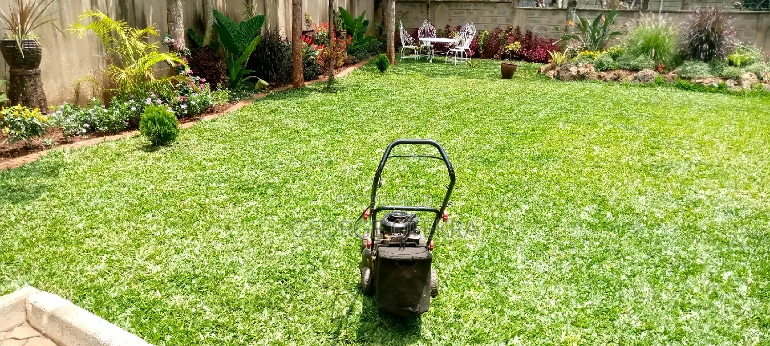 Landscaping Works