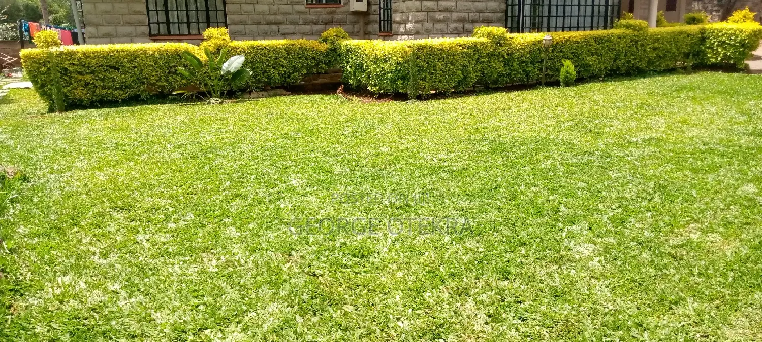 Landscaping Works