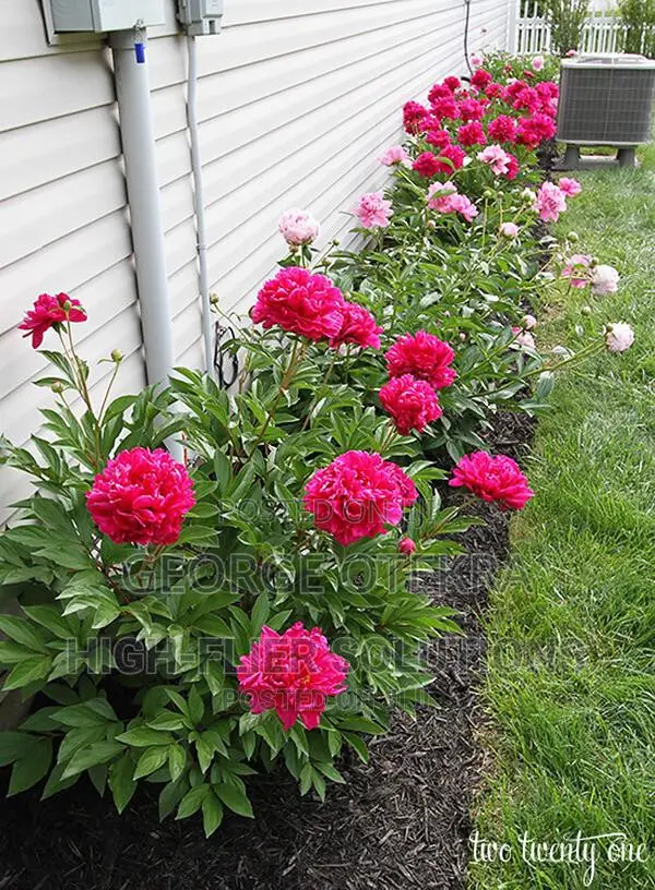 Landscaping Works