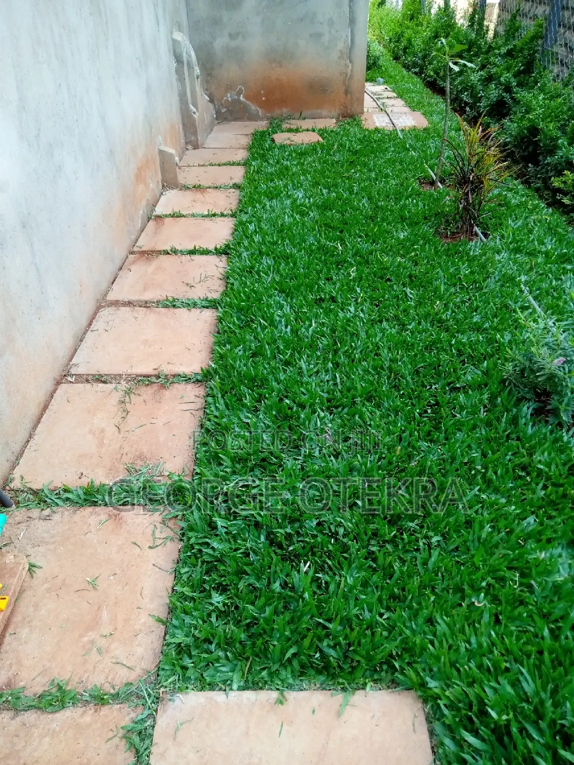 Landscaping Works