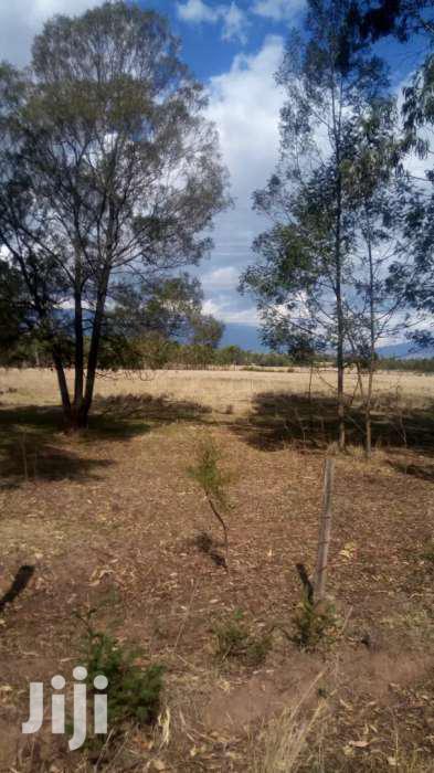 Selling 16 Acres in Nyahururu Ndemi - thumbnail 3